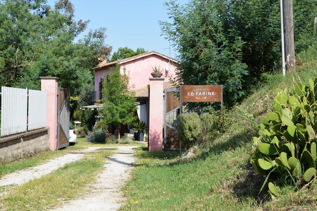 Il Casale Alle Farine วิแตร์โบ ภายนอก รูปภาพ